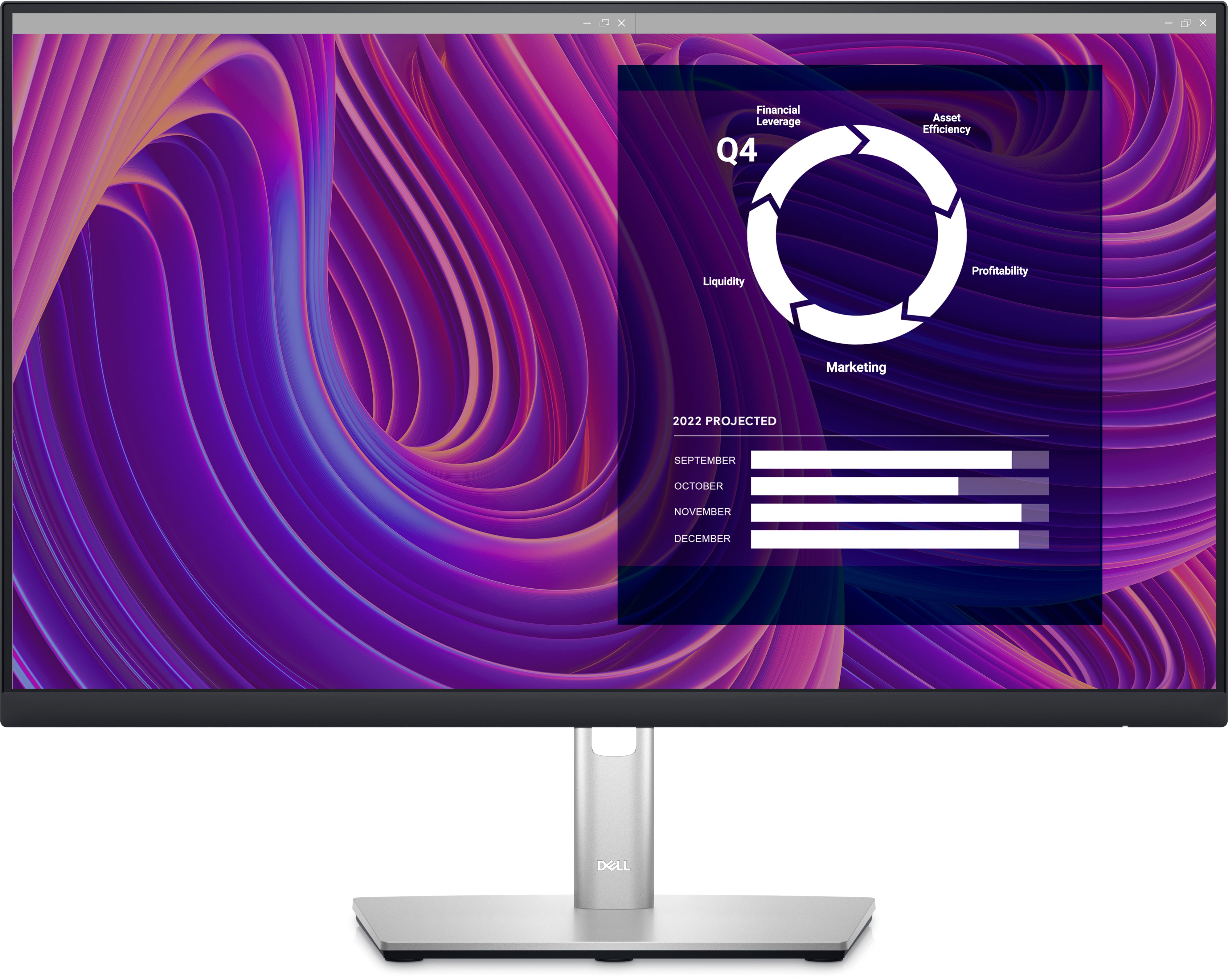 Dell 24" Monitor - P2423D (210-BDKH)