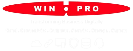 WinPro — Transforming Business Digitally